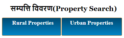 igrsup property search page